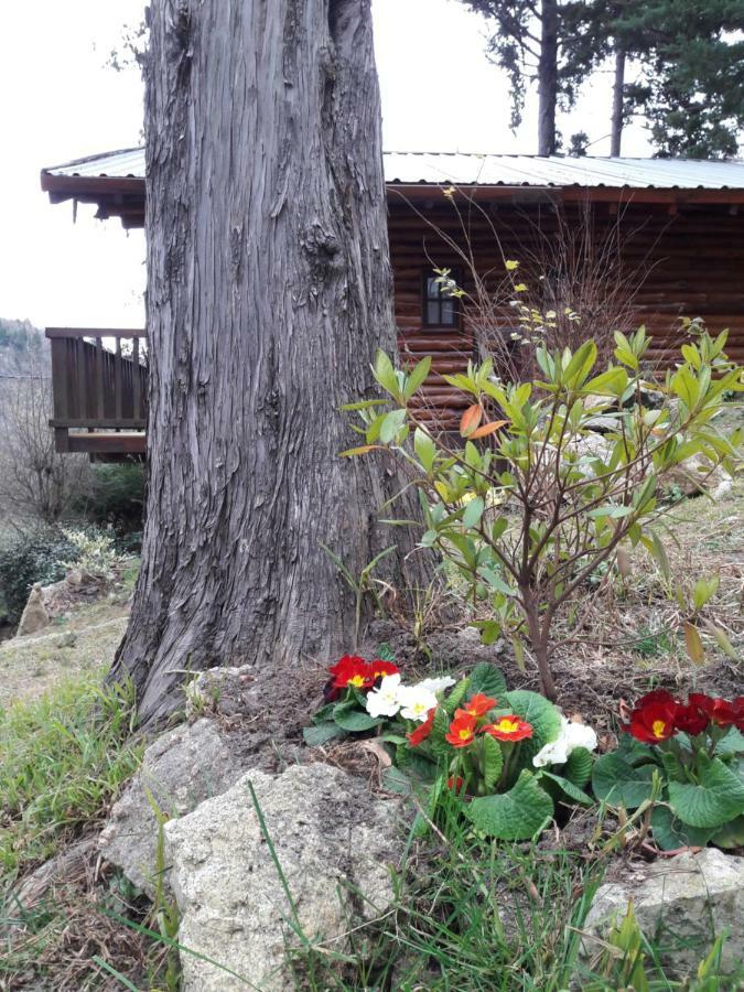 Villa Cerro Cumbrecita à La Cumbrecita Extérieur photo
